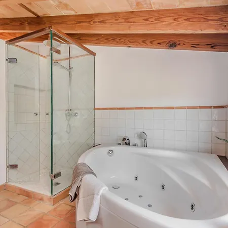 Moliner Premium Villa *