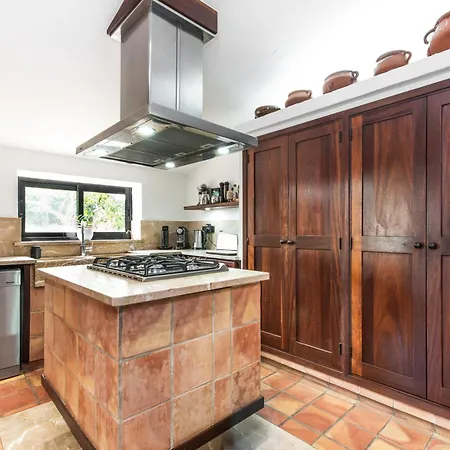 Moliner Premium Villa *