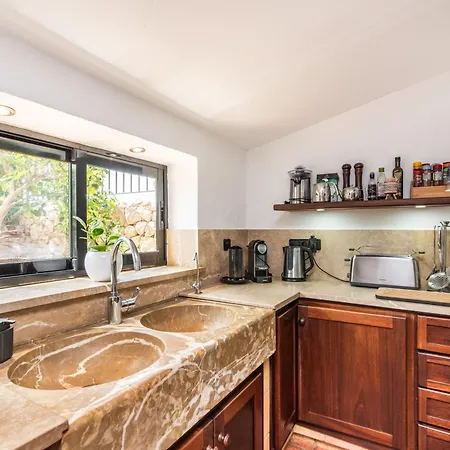 Moliner Premium 波连斯萨