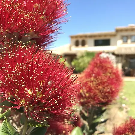 Moliner Premium Villa Pollença
