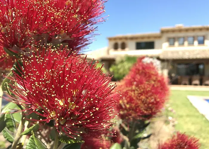 Moliner Premium By Mainvillas Your A 5-minute Drive From Llenaire Willa Pollensa